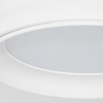 Legend Ceiling Mount (8-2018-0808) Legend Ceiling Mount (8-2018-0808)