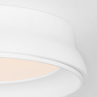 Legend Ceiling Mount (8-2018-0808)