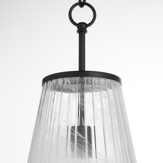 Providence One Light Pendant (8238-13-59) Providence One Light Pendant (8238-13-59)