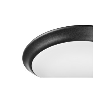 LED Wet Ceiling Mounts LED Ceiling Mount (905-10-69)