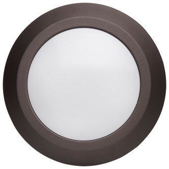 LED Disk Light (62-1267)
