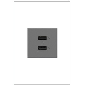 adorne Ultra-Fast USB Type-A/A Outlet Module (ARUSB2AA6M4)