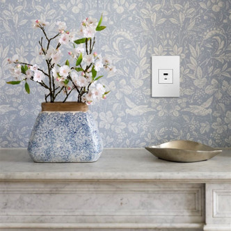 Adorne USB Type-A/C Outlet Module (ARUSB2AC6W4)