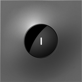 adorne 20A Wave Switch with Microban (ASWV2032M2)