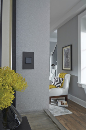 adorne Two-Gang Screwless Wall Plate (AWC2GSBL4)