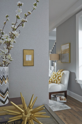 adorne Four-Gang Screwless Wall Plate (AWC4GCOF4)
