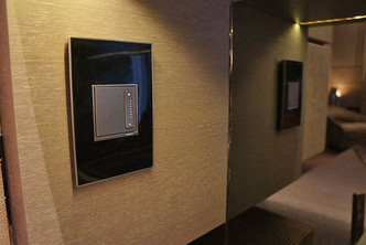 adorne One-Gang Screwless Wall Plate (AWM1G2MB4)