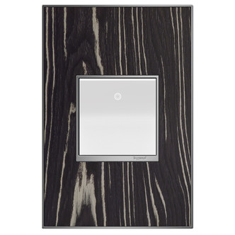 adorne Two-Gang Screwless Wall Plate (AWM2GMA4)