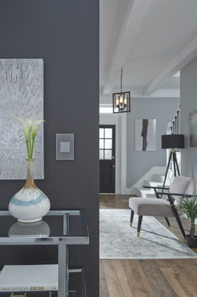 adorne Two-Gang Screwless Wall Plate (AWM2GRG4)