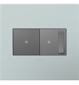 adorne Two-Gang Screwless Wall Plate with Microban (AWP2GBL4)