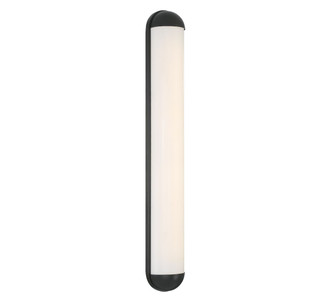 Dolo LED Wall Mount (10127-06)