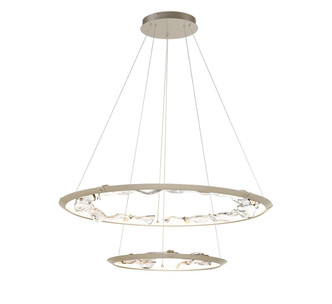 Lib & Co. - 12164-041 - LED Chandelier - Nettuno - Painted Brushed Champagne