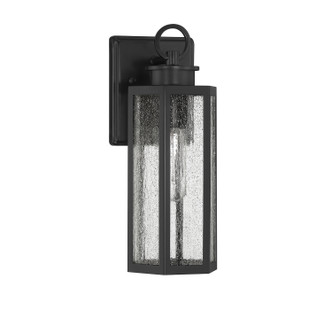 Hawthorne One Light Outdoor Wall Lantern (V6-L5-5100-BK) Hawthorne One Light Outdoor Wall Lantern (V6-L5-5100-BK)