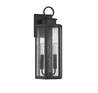 Hawthorne Two Light Outdoor Wall Lantern (V6-L5-5102-BK)