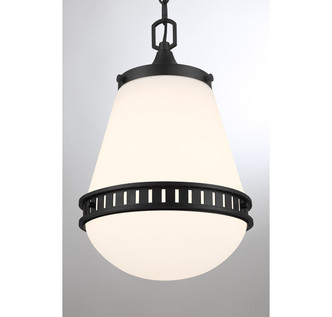 Endura One Light Pendant (V6-L7-7950-1-89)