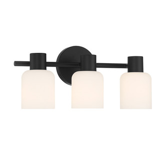 Strand Three Light Bathroom Vanity (V6-L8-9022-3-BK)