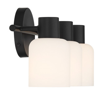 Strand Three Light Bathroom Vanity (V6-L8-9022-3-BK)