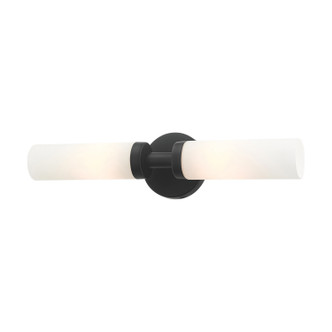 Aero Two Light Vanity (10104-04)
