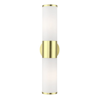 Lindale Two Light Vanity Sconce (16562-12)