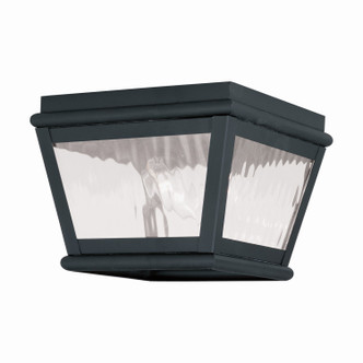 Exeter Two Light Outdoor Ceiling Mount (2611-04)