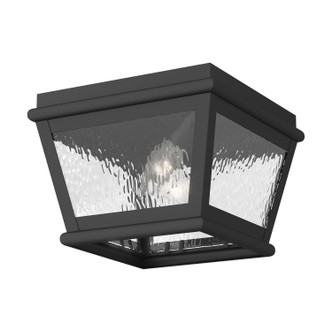 Exeter Two Light Outdoor Ceiling Mount (2611-04)