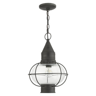 Newburyport One Light Outdoor Pendant (26906-61)
