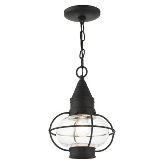 Newburyport One Light Outdoor Pendant (26910-04)