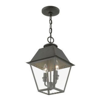 Wentworth Two Light Outdoor Pendant (27217-61)