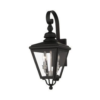 Adams Two Light Outdoor Wall Lantern (27372-04)