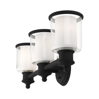 Middlebush Three Light Vanity (40213-04)