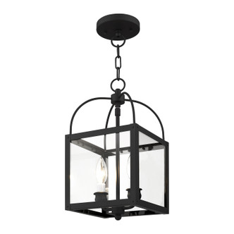 Milford Two Light Mini Pendant/Ceiling Mount (4041-04)