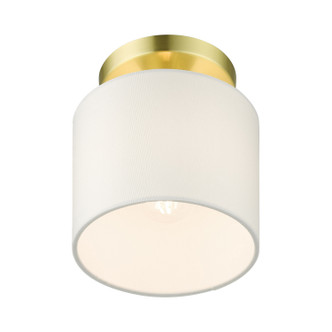 Meridian One Light Semi Flush Mount (41094-12)