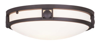 Livex Lighting - 4487-07 - Two Light Ceiling Mount - Titania - Bronze