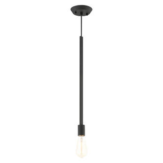 Prague One Light Pendant (45831-04)
