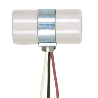 Satco - 80-1081 - Twin 2 Circuit Porcelain Socket With Single 1/8 Ips Bushing Cap - Glazed