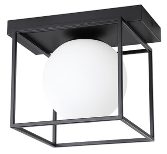 Grayson LED Wall/ Ceiling Light (205618A)