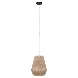 Eglo USA - 206082A - One Light Pendant - Alderney - Black