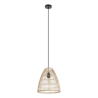 Eglo USA - 43866A - One Light Mini Pendant - Ayesgarth - Black