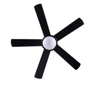 Preston 52" Ceiling Fan (CF52P175BK)
