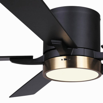 Quinn 52" Ceiling Fan (CF52QUI5BKG)