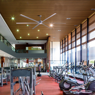 Fanbos 120" Ceiling Fan (CP120PG)