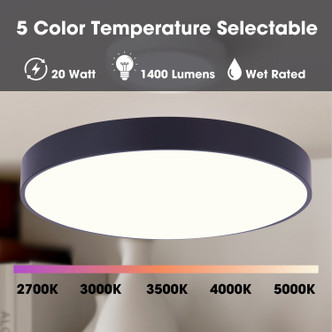 Luna LED Flush Mount (DL-10F-20WS-BK-C)