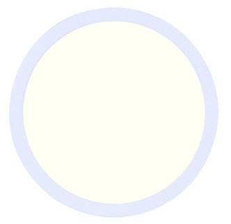 Led Disk Light LED Disk (DL-11C-22FC-WH-C)