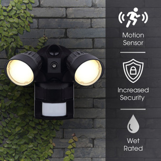 Outdoor Securtiy LED Security Light (HO-01-02S-BK)
