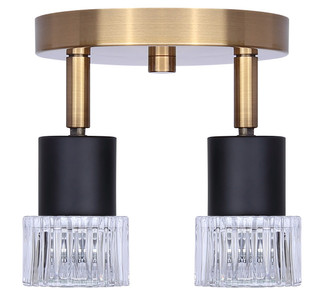 Elsee Two Light Track Lighting (ICW1161A02BKG10)