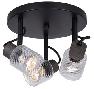 Canarm - ICW1198A03BKW10 - Three Light Ceiling/Wall Mount - Owen - Matte Black