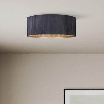 Rexton Two Light Flush Mount (IFM1119A14BK)
