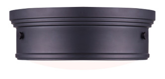 Boku Two Light Flush Mount (IFM624A13ORB)