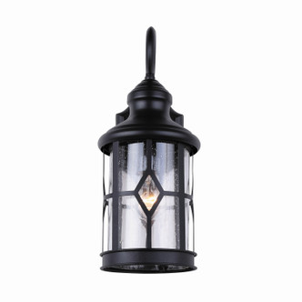 Atlanta One Light Outdoor Downlight (IOL209BK)