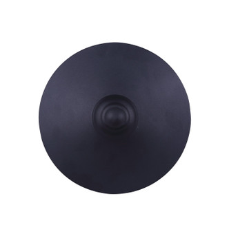 Treehouse One Light Outdoor Lantern (IOL303BK)